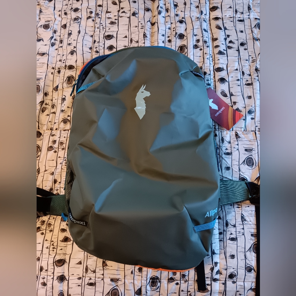 Cotopaxi Allpa 35L Travel Pack, Spruce